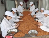 四害消殺：食品、加工行業(yè)